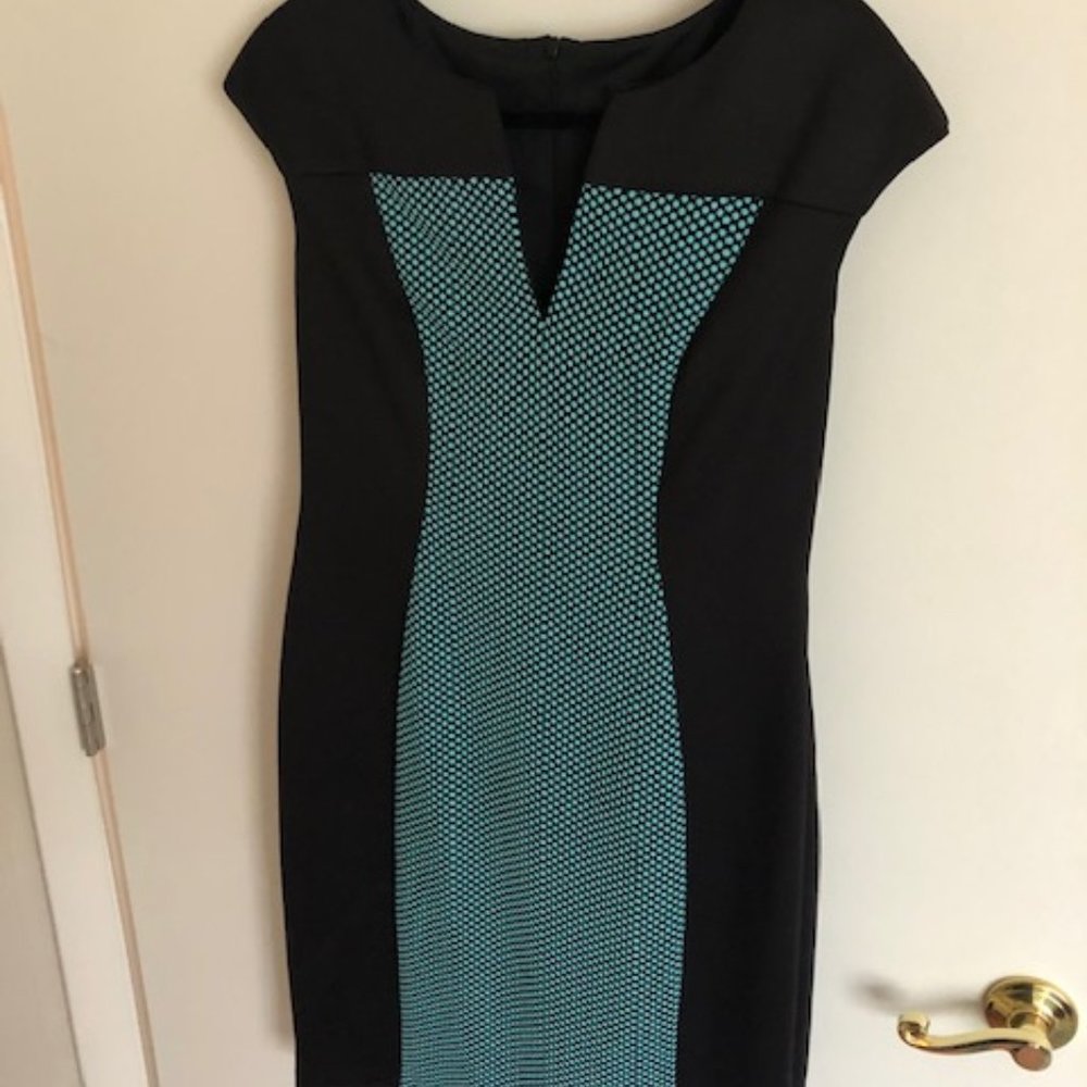 Fitted Dress (12)